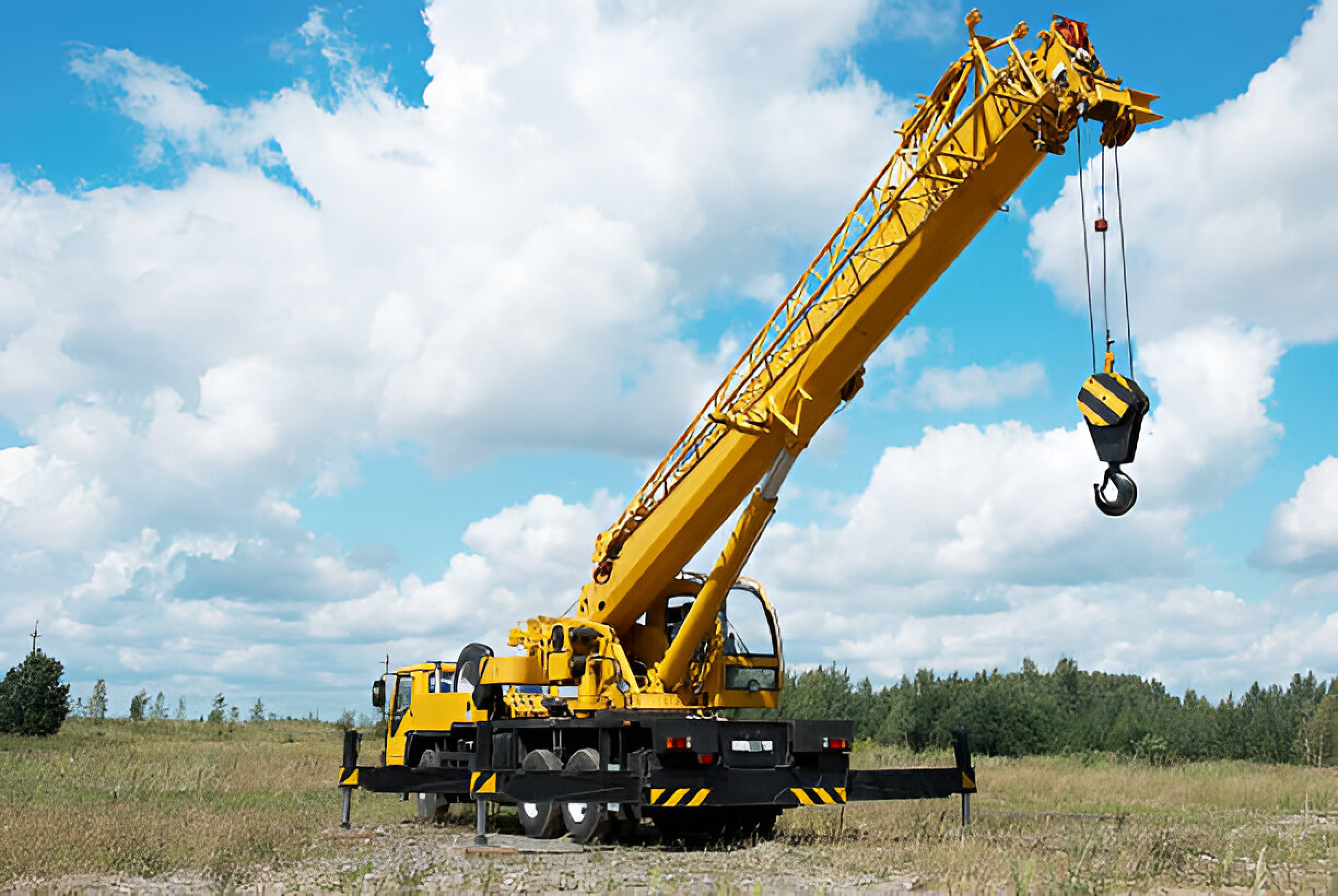 Crane 