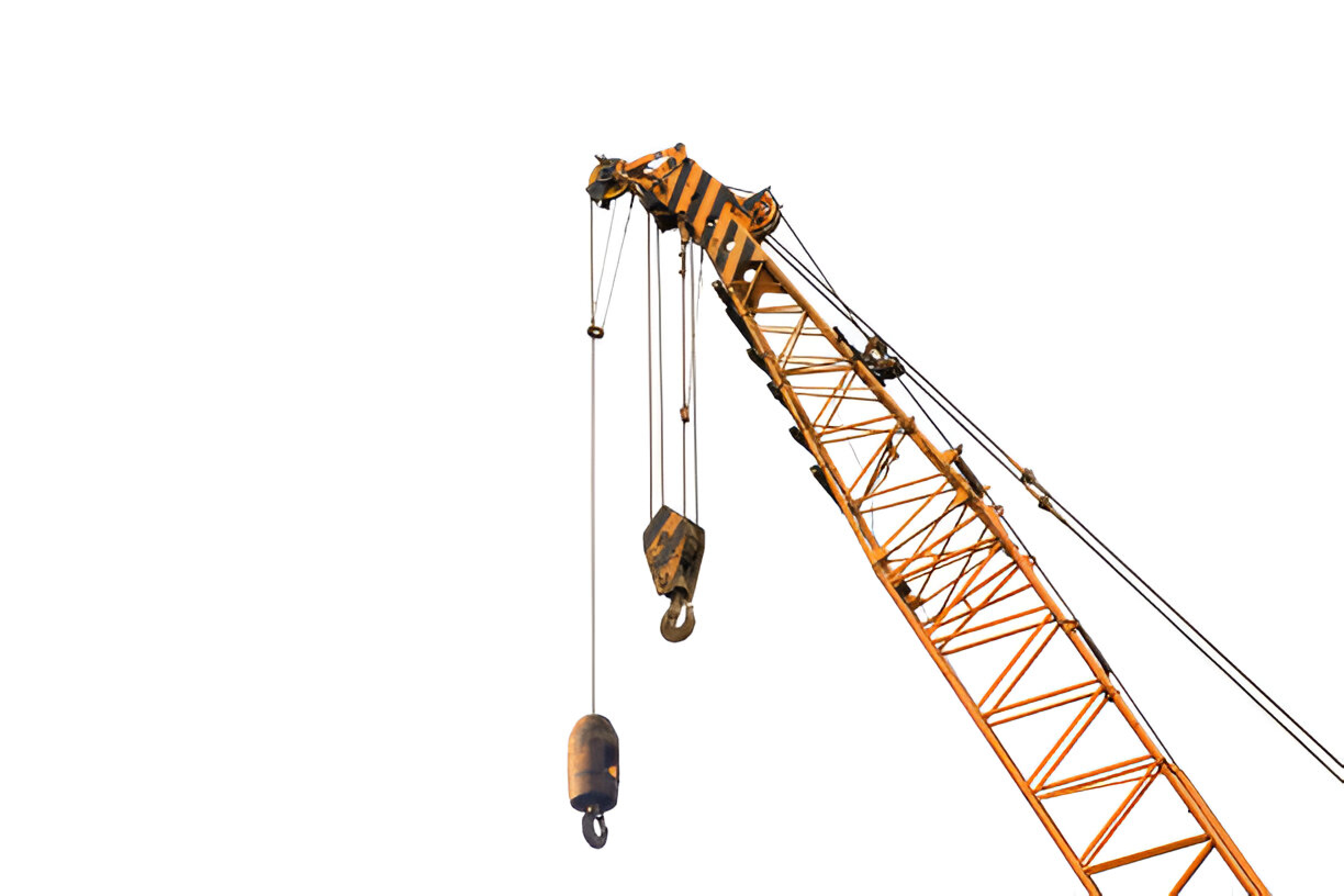 Crane 