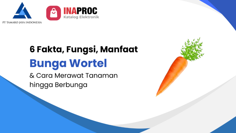 bunga wortel