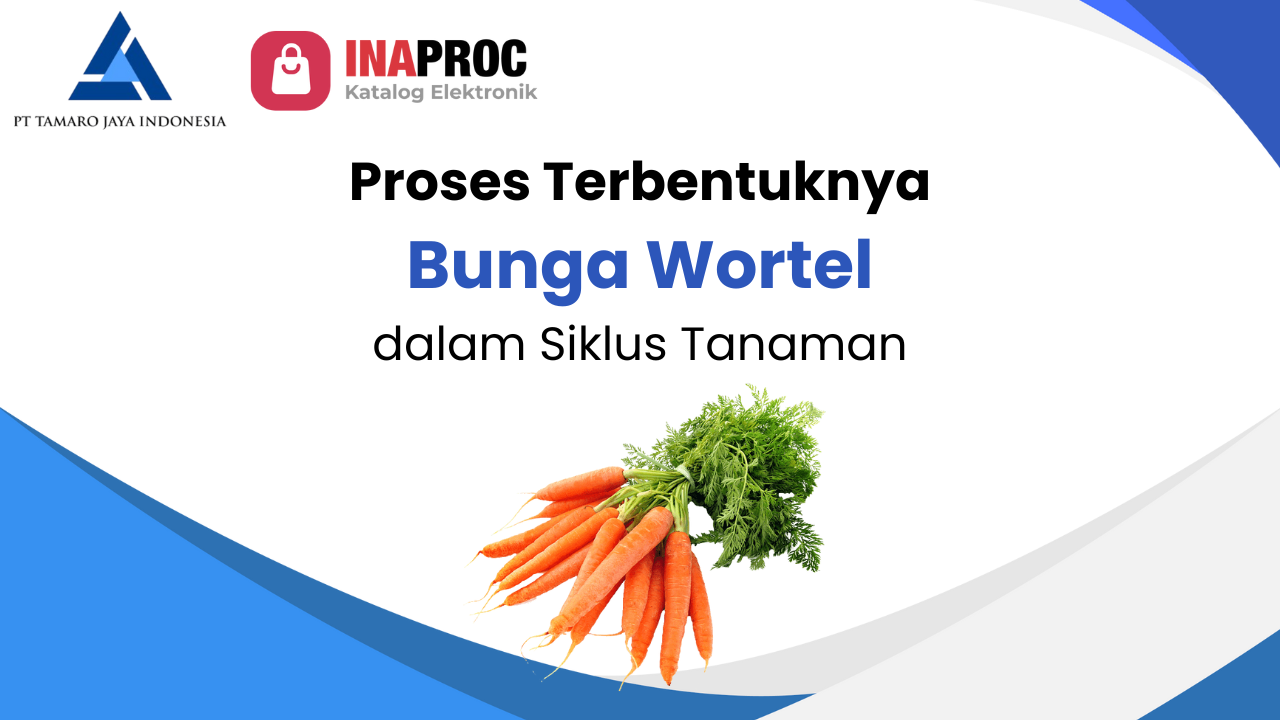 bunga wortel